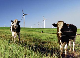 Renewable Energy on the Farm Image